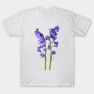 Bluebells, From the very Woods I Created! T-Shirt